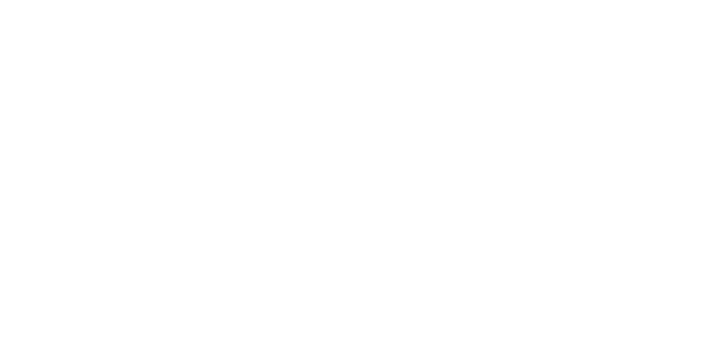 logo_superior